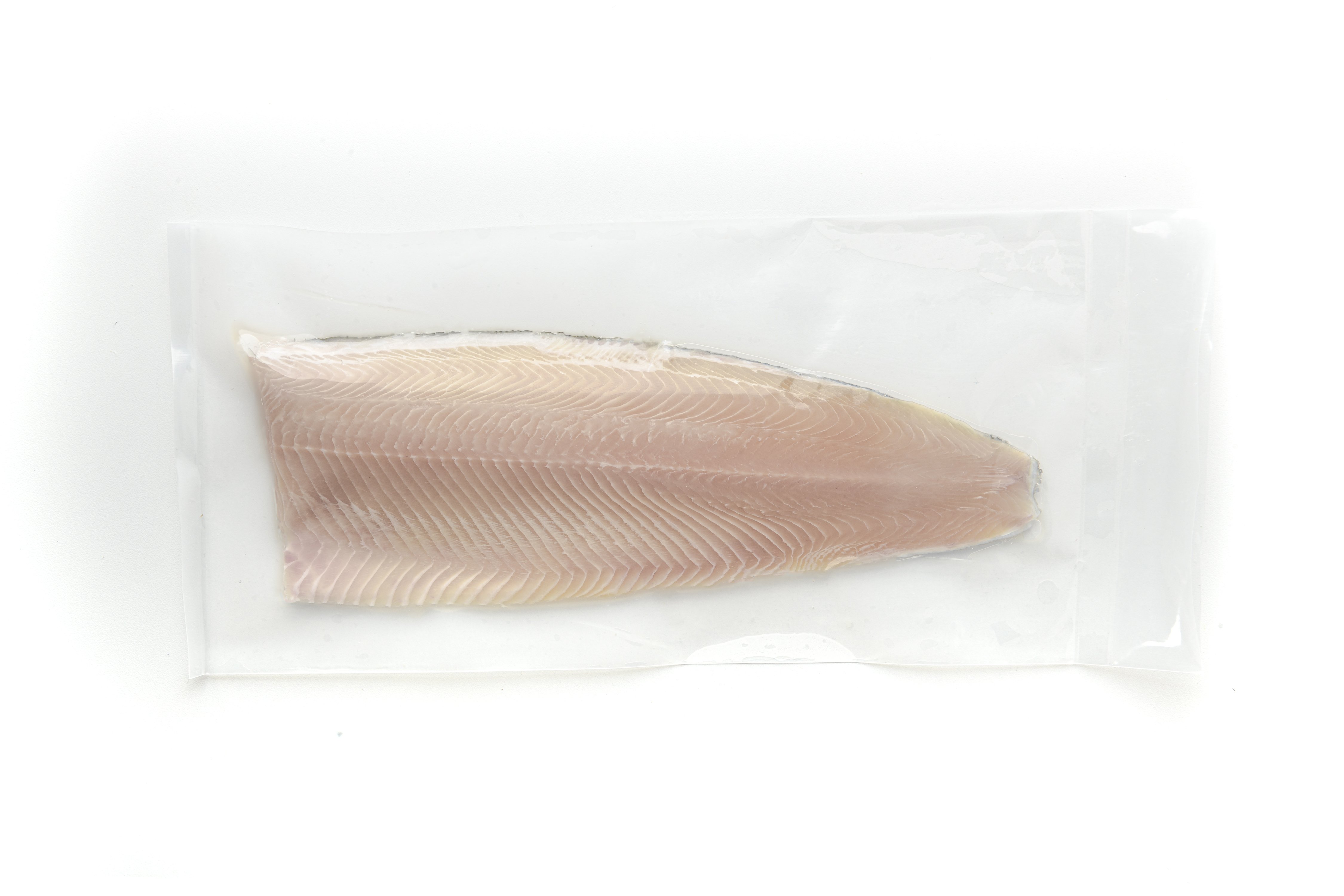 White fillet vacuum packed