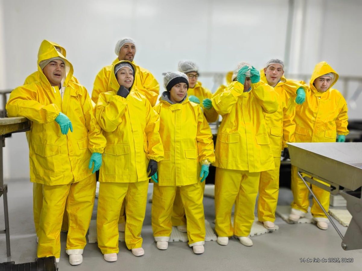 Manila team in yellow gear